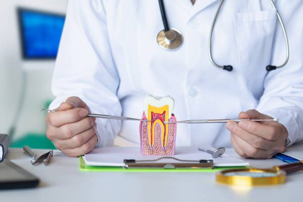 Best Emergency Dental Care for Abscessed Tooth in Altamont, TN